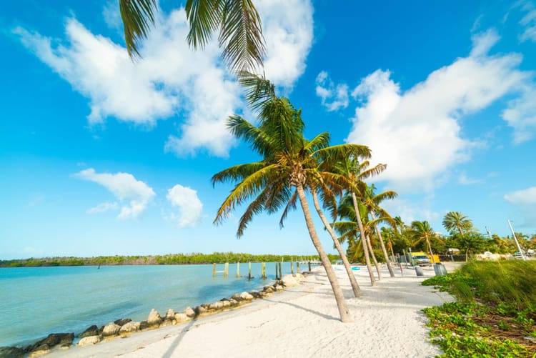 Win a Trip for Two to the Florida Keys
